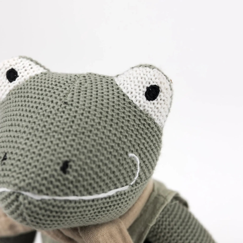 Jeremy de kikker - Katoenen knuffel met rammelaar - Egmont Toys - productfoto - afbeelding 5