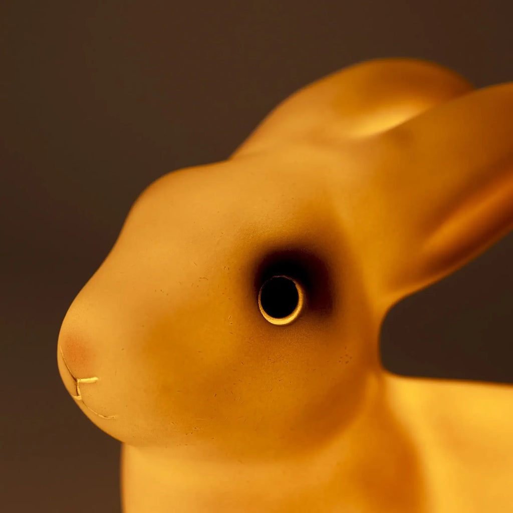 Konijnen nachtlampje - Rabbit Night Lamp - LED lamp voor kinderkamer - Egmont Toys - productfoto - afbeelding 9