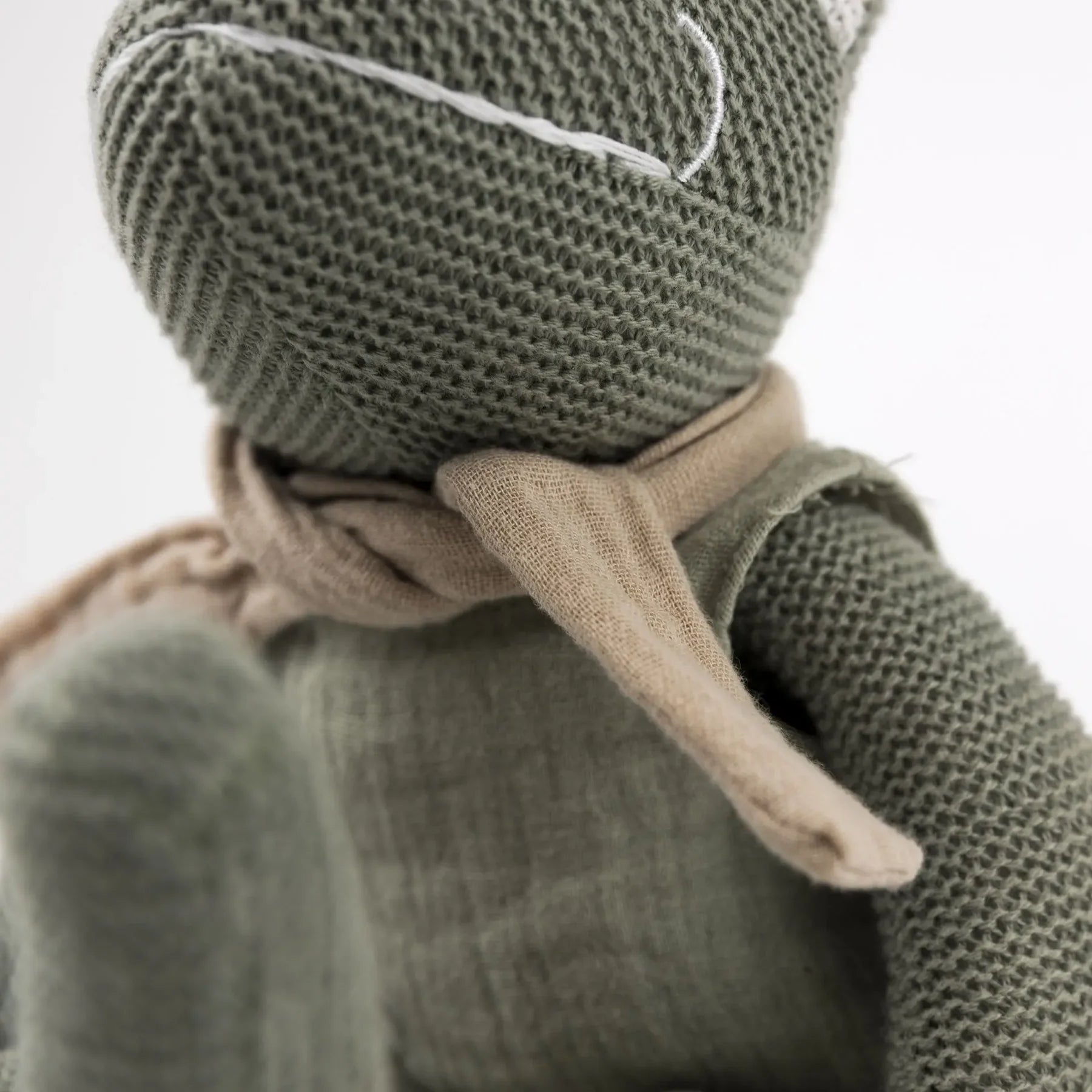 Jeremy de kikker - Katoenen knuffel met rammelaar - Egmont Toys - productfoto - afbeelding 3