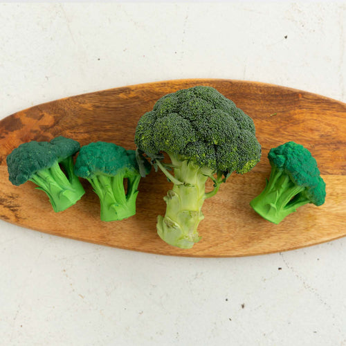 Bijtring & badspeeltje Brucy the Broccoli - Natuurrubber - Oli & Carol - productfoto - afbeelding 2