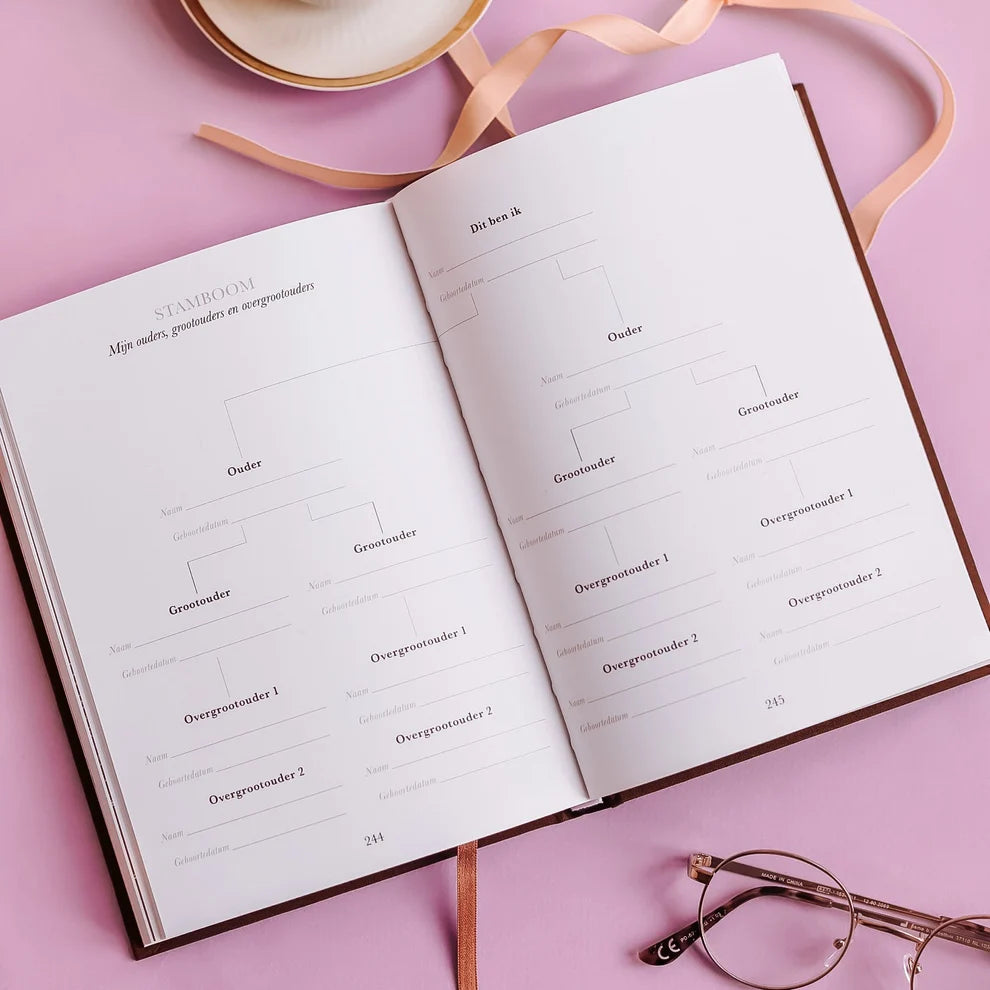 Sinds jij mijn kleinkind bent – Grandparent Memory Book with Keepsakes and Life Lessons for 10 Years – Birthlines